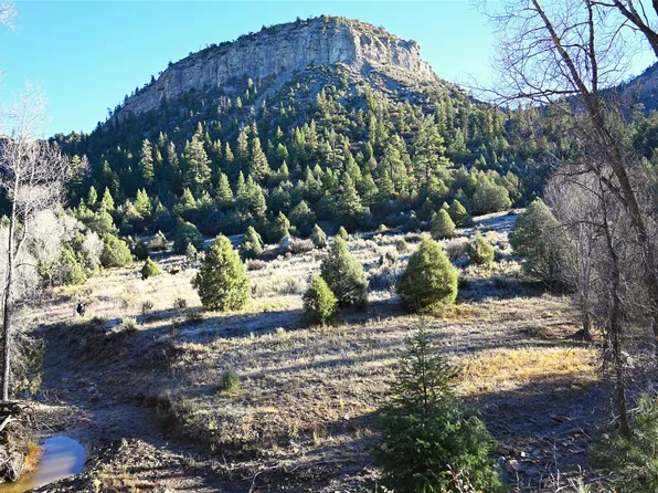 0 County Road 352, Dulce, NM 87528