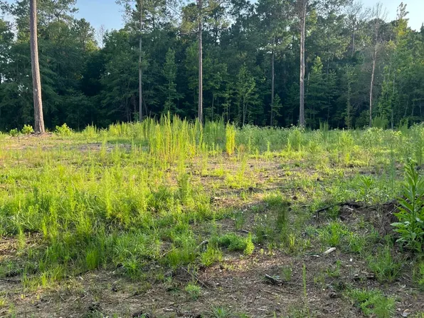 3171 Queens Way, Orangeburg, SC 29118