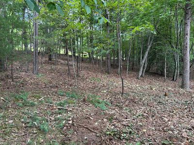 4 Maple Ln, Blairsville, GA, 30512