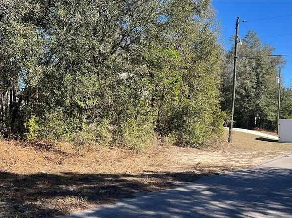 2559 W Castle Rd, Citrus Springs, FL 34434