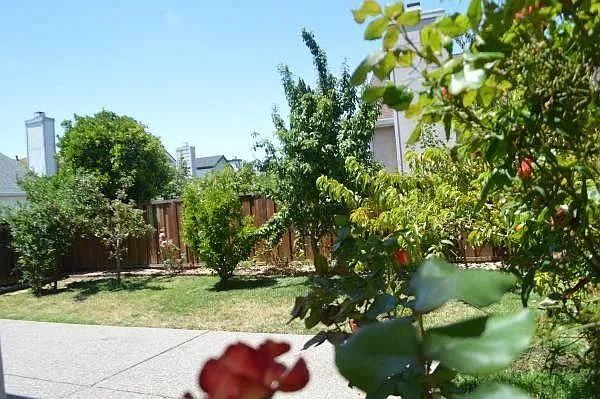 34315 Kenwood Dr — Photo 19