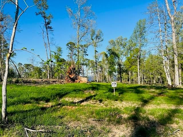 2nd image of 859 Nine Mile Rd