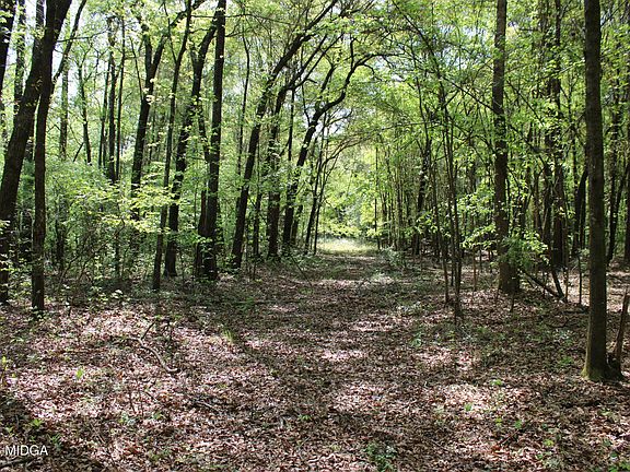 5th image of 0 Ruffner Rd
