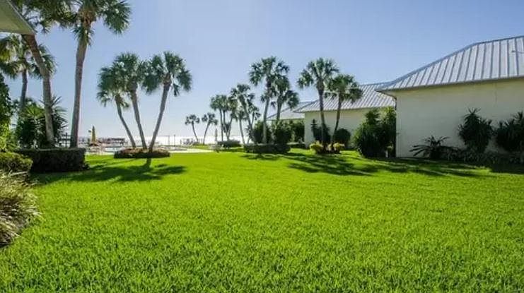 view from our back porch and living room