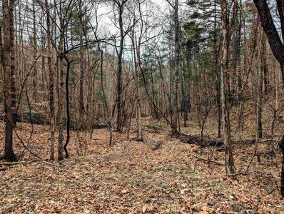 Yates Rd, Shawsville, VA, 24162