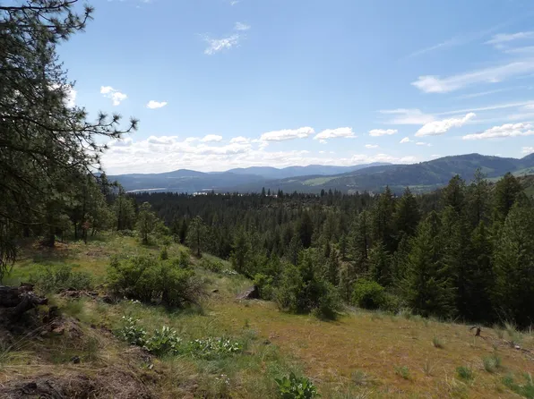 LOT Dd Hwy #25, Hunters, WA 99137