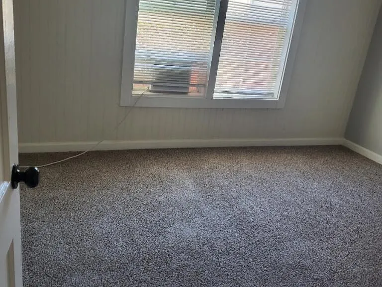 3315 Reeves St #3 — Photo 6