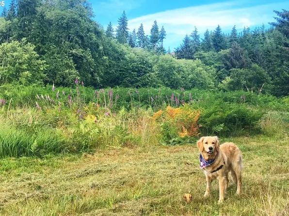 S Valley Ln #5, Naselle, WA 98638