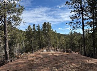162 Eagle Dr, Divide, CO 80814