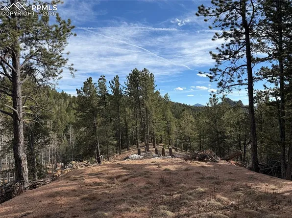 162 Eagle Dr, Divide, CO 80814