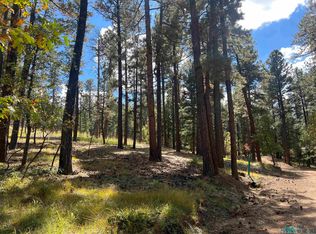 57 Forest Dr E, Rociada, NM 87742