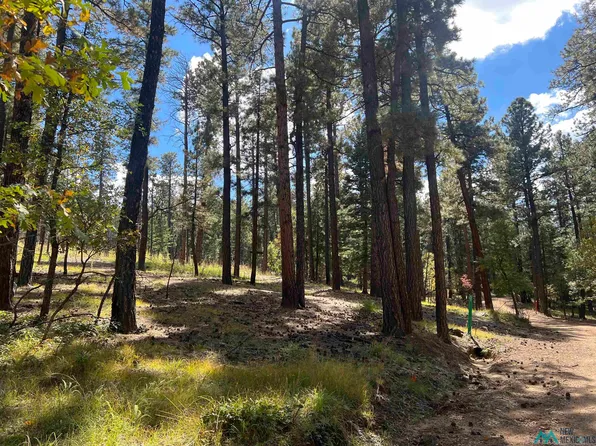 57 Forest Dr E, Rociada, NM 87742