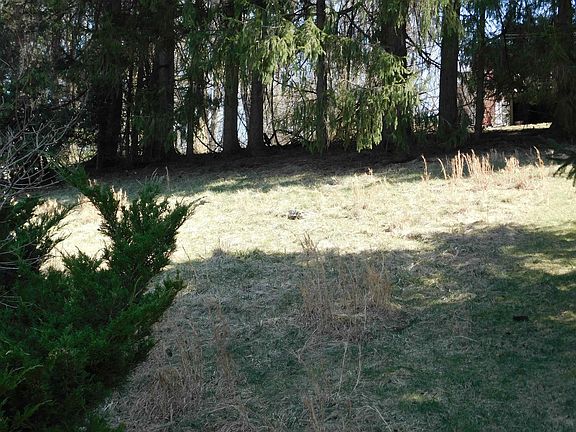 4th image of 1126 S Park Dr