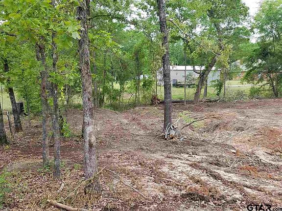5th image of LOT 8 County Road 2220