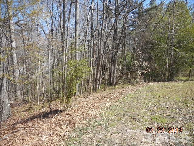 2nd image of 135 Fern Forest Dr