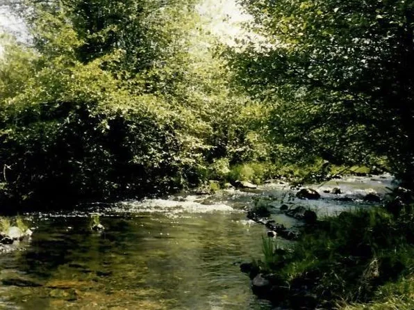 3250 Wildwood Rd, Wildwood, CA 96076