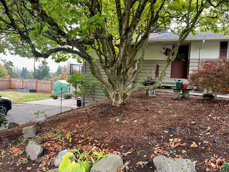 Lower unit apt, driveway and backyard