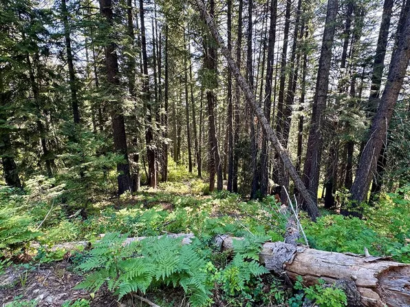 37 Arling Trl, Donnelly, ID 83615