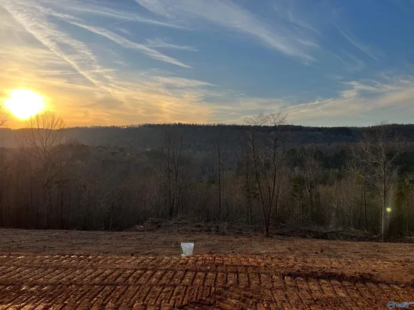 County Road 223, Collinsville, AL 35961