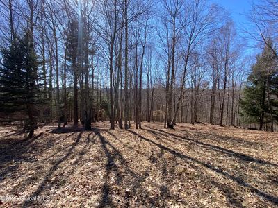 L22.2 Alder Pond Road, Andes, NY, 13731