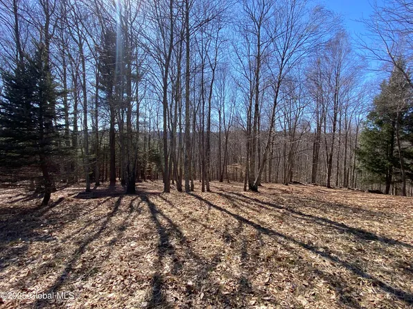L22.2 Alder Pond Road, Andes, NY 13740