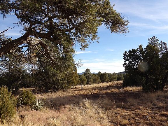 2nd image of 833 County Road 3144