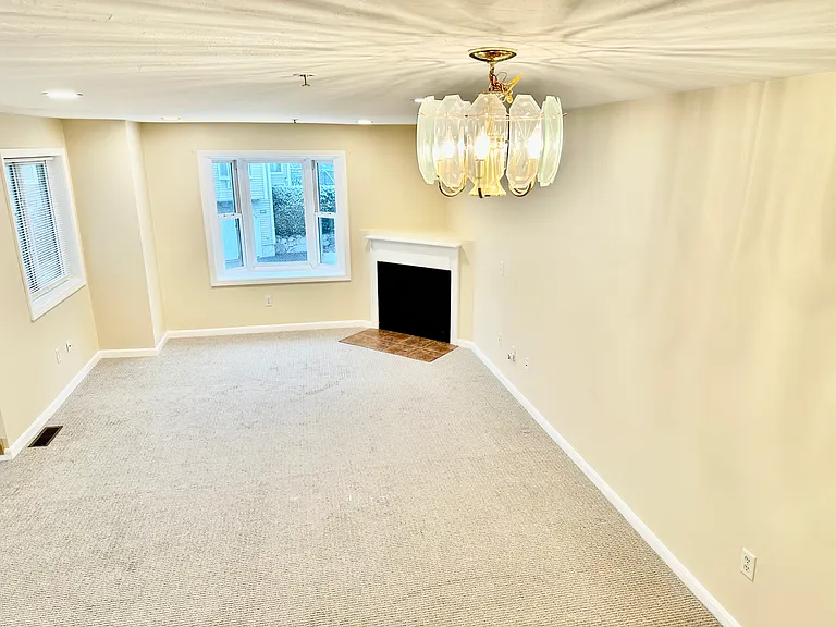 1301 Old Bridge Ln #1301 — Photo 6