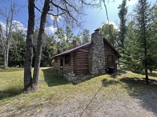 6585 Big Wolf Lake Rd, Lewiston, MI 49756