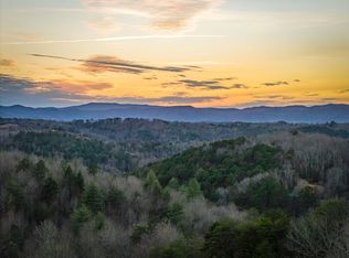 196 S Williamstown Rd, Mineral Bluff, GA 30559