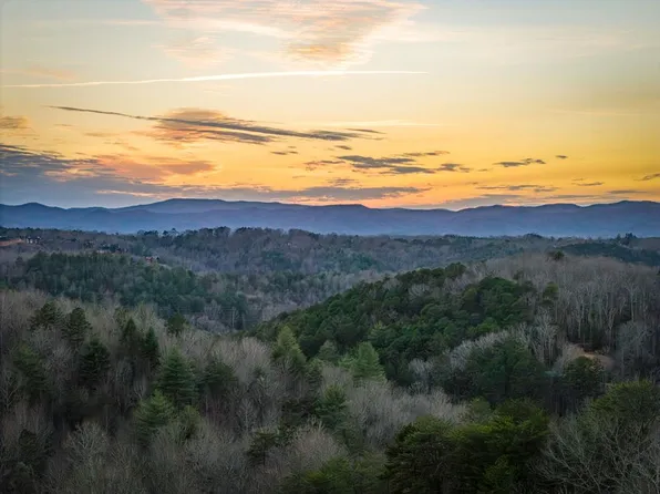 196 S Williamstown Rd, Mineral Bluff, GA 30559