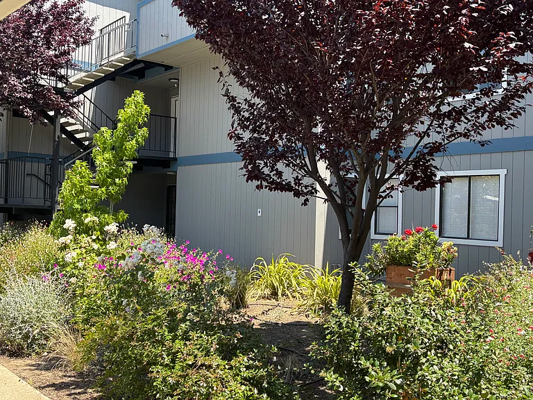 Dixon Landing Apartments — Photo 22