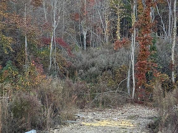 2nd image of 0 County Road 75