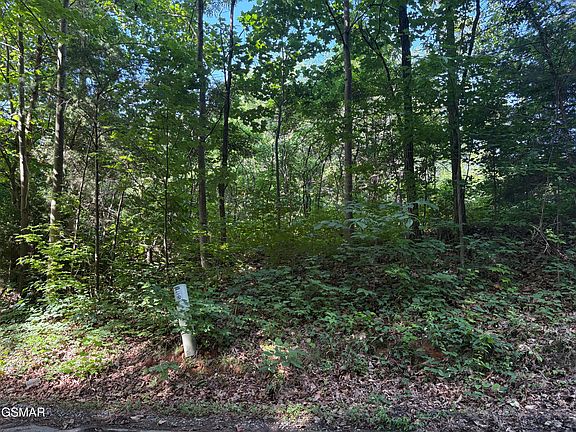 5th image of LOT 6 Shiner Run Dr