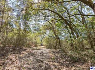 Terry Rd, Yemassee, SC 29945