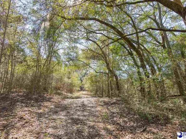 Terry Rd, Yemassee, SC 29945