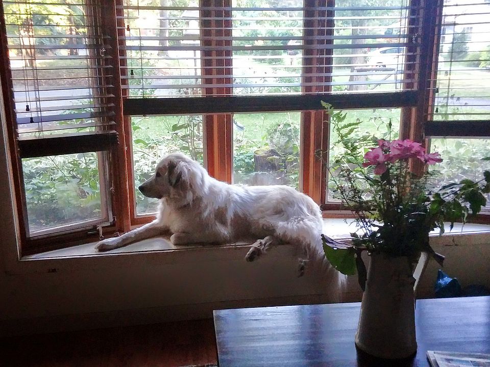 Bay window in main living ro