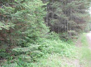 Twin Lakes Loop #45, Aurora, MN 55705