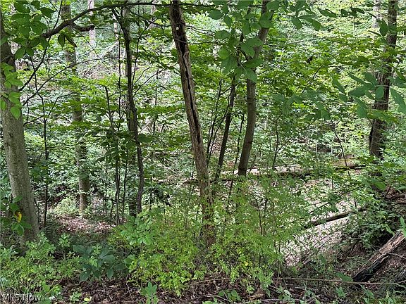 5th image of 2699 Ruswil Dr
