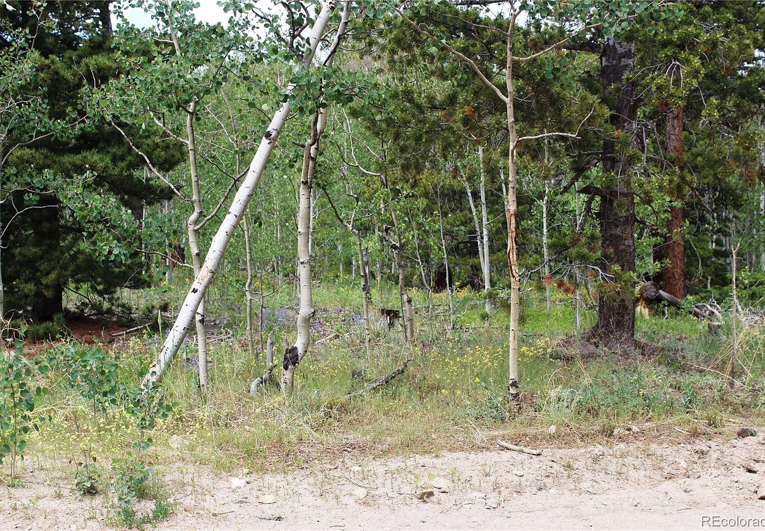 00 Pisgah Lake Road Lot 7247, Idaho Springs, CO 80452 Zillow