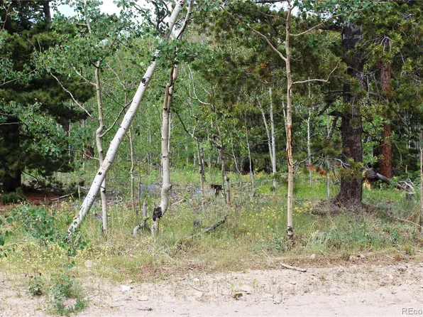 00 Pisgah Lake Road LOT 7247, Idaho Springs, CO 80425