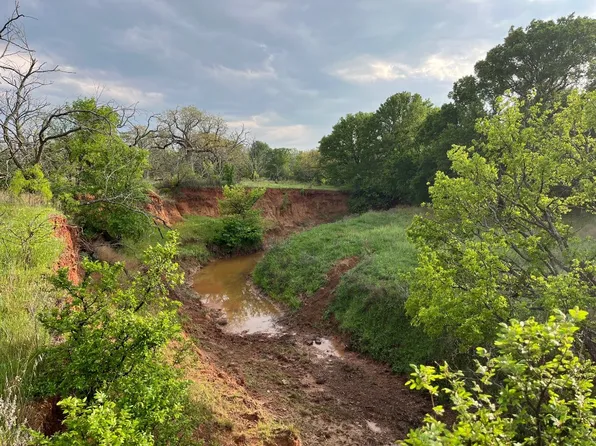 W 34.1 Hoffman Rd, Loving, TX 76460