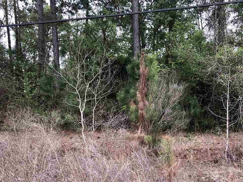 1st image of 12220 Woodland Dr