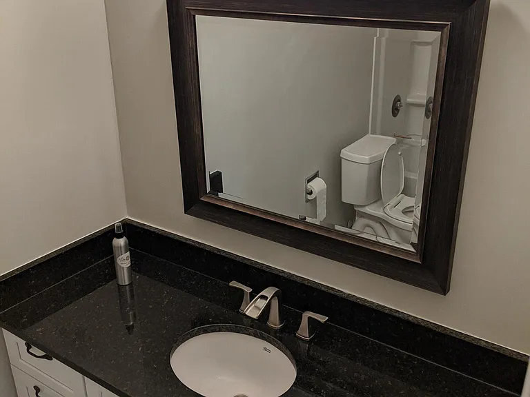 Guest bathroom