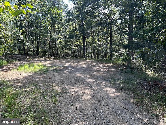 3rd image of Gun Barrel Ln