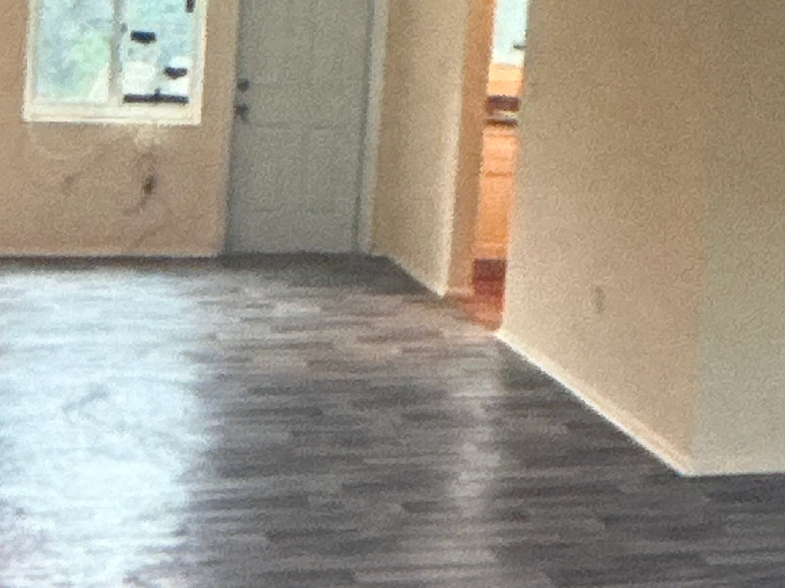 2 bed, 1.5 bath, $1,700 — Photo 1