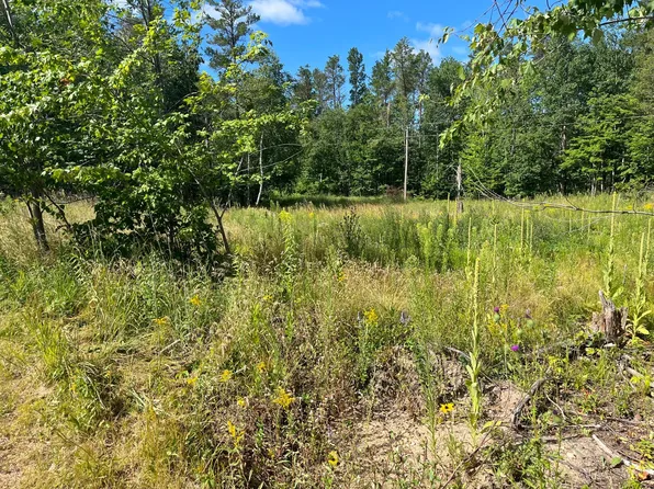 Tbd Airport Rd, Pequot Lakes, MN 56472