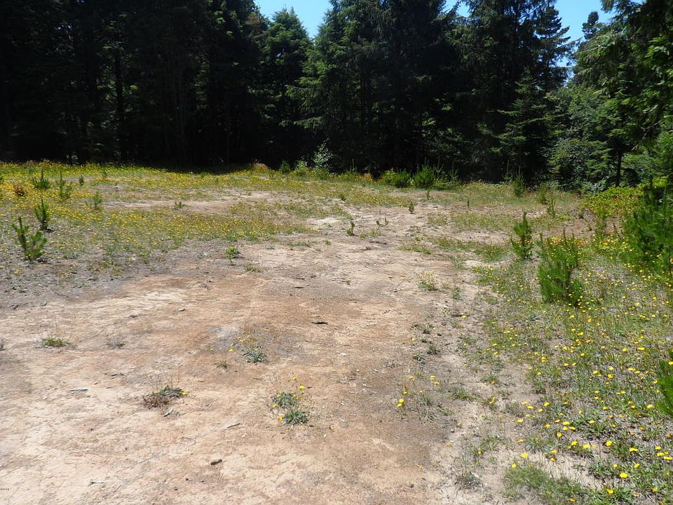 1st image of TL 5 Se Wakeetum