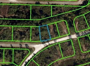 3355 Popinjay Ave, Lake Placid, FL 33852