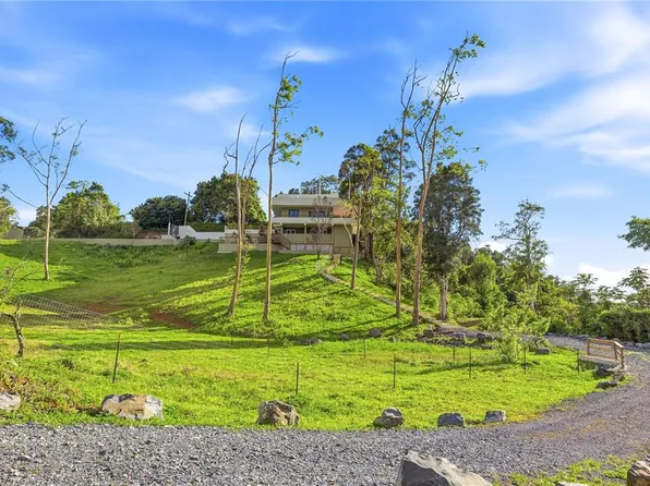 Road 15 #Km206, Cayey, PR 00736