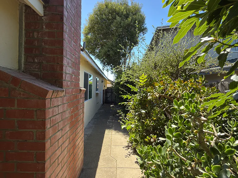 Side yard